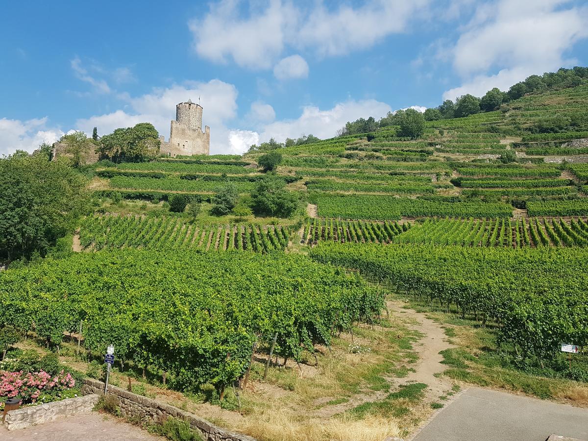 Kaysersberg City Center - Cote Vignoble - Zewnętrze zdjęcie